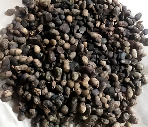 Himalayan Kinema 400 GM