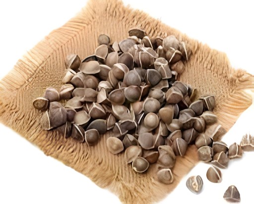 Drumstick Seeds 3.5 OZ