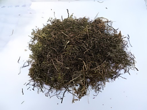HIMALAYAN JIMBU  50 GM