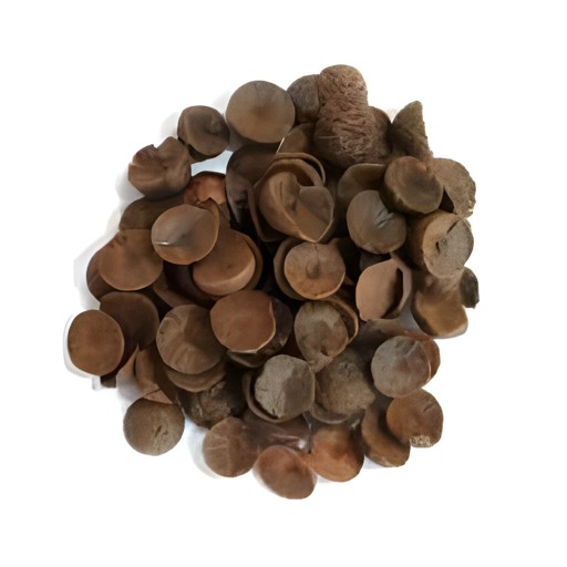 POOJA NUTS COIN 100 GM