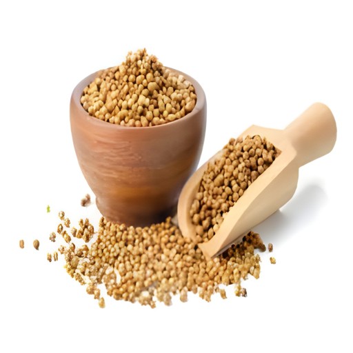 Coriander Seeds  14 OZ