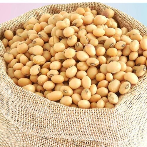 Radhey Soya Bean 4 LBS
