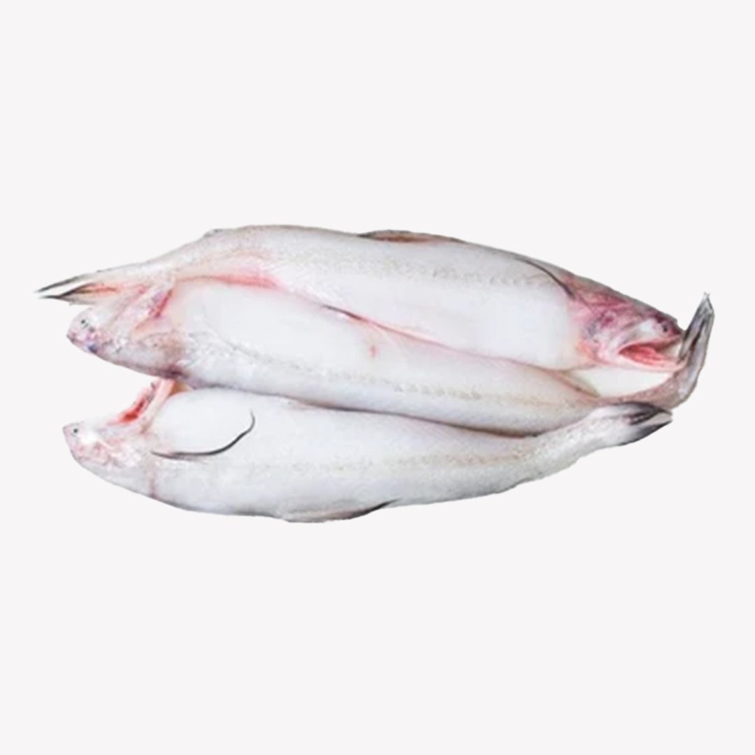 Lotia Bombay Duck 1.5 KG