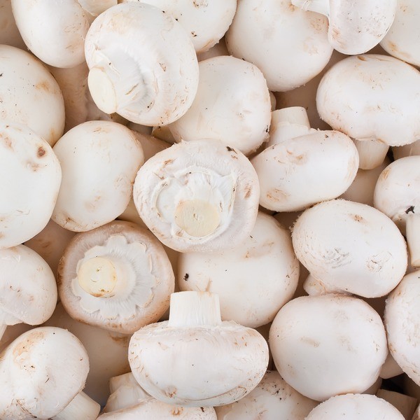 HIGHLIRE WHOLE WHITE MUSHROOM 1 LBS