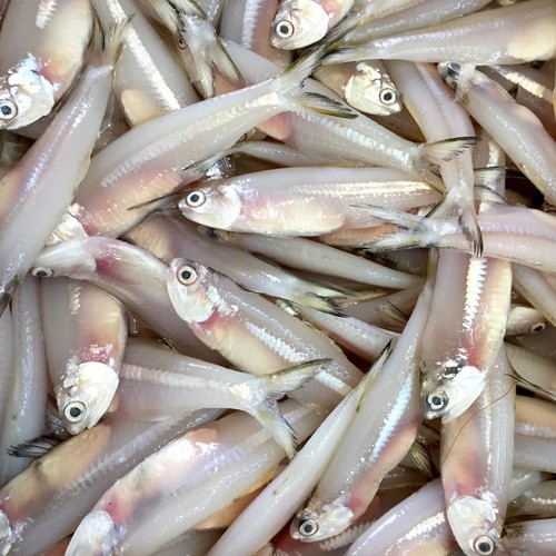 Keski 2 KG