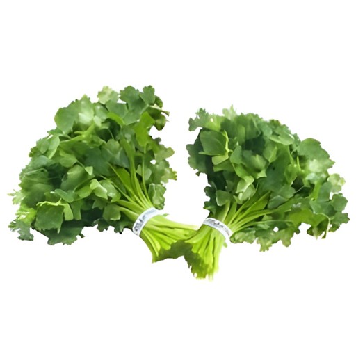 CILANTRO 2 BUNCH