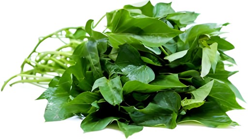Boniato Leaves 1 BUNCH