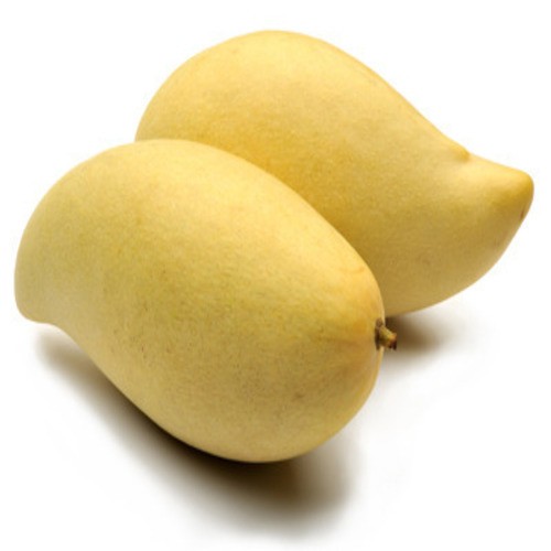Totapuri Mango Box 1 PACK