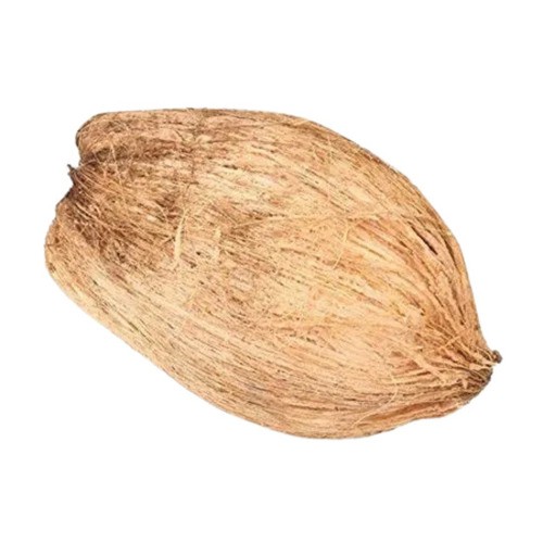 Coconut Whole 1 PCS