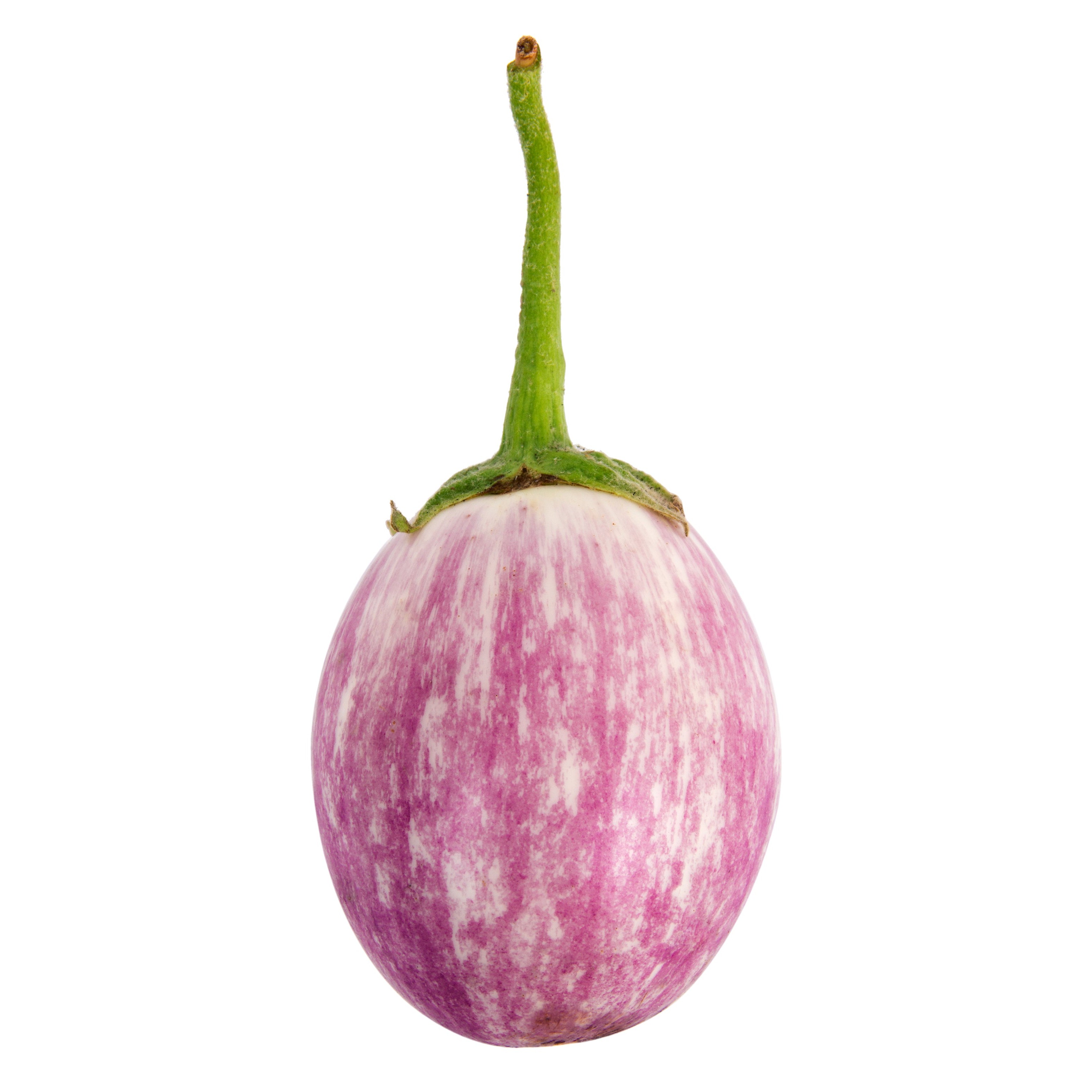 Italian Eggplant 1 Lbs