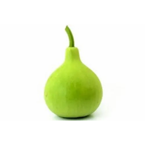 ROUND DUDHI (ROUND SQUASH) 1 LBS