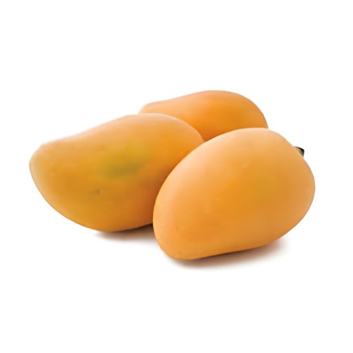 MINGOLO MANGO 1 CASE