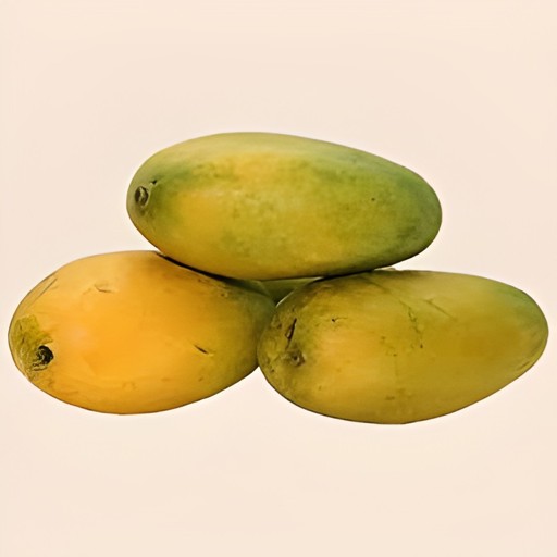 MALLIKA MANGO CASE 1 CASE