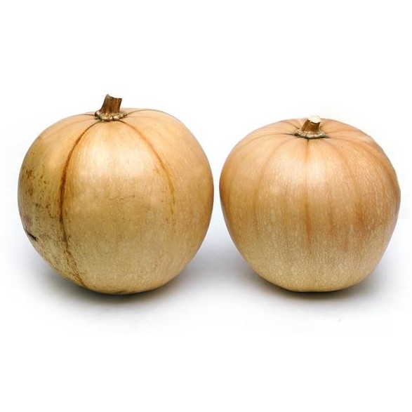 Round Calabacita 1 LB
