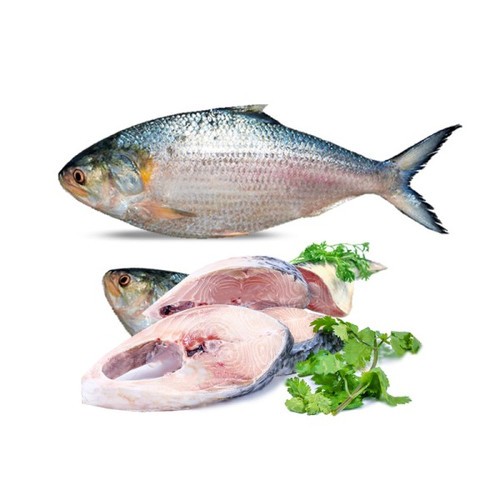 Whole Hilsha Fish 2 KG