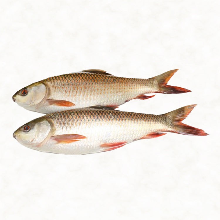 Whole Mirgal Fish 4 KG