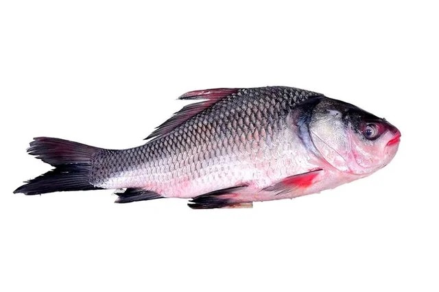 Whole Katla Fish 4 KG