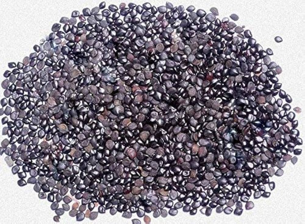GAGAN CHASQUE 100 GM