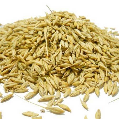 DESI BARLEY WHOLE W HUSK 200 GM
