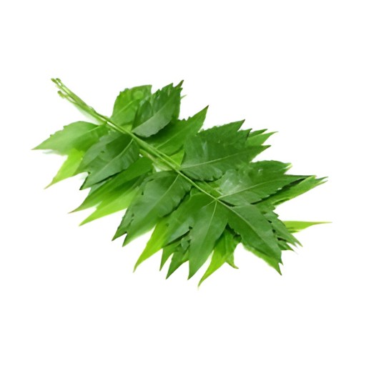 Neem (Bitter) Leaves 1 EACH
