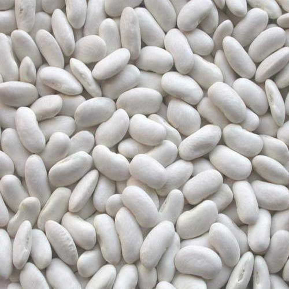 LONG WHITE BEANS 1 LBS