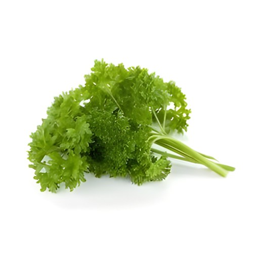 PARSLEY  1 PCS