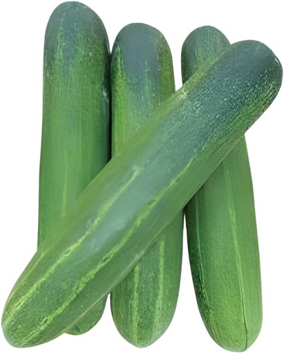 English Seedless Cucumber 1 EA