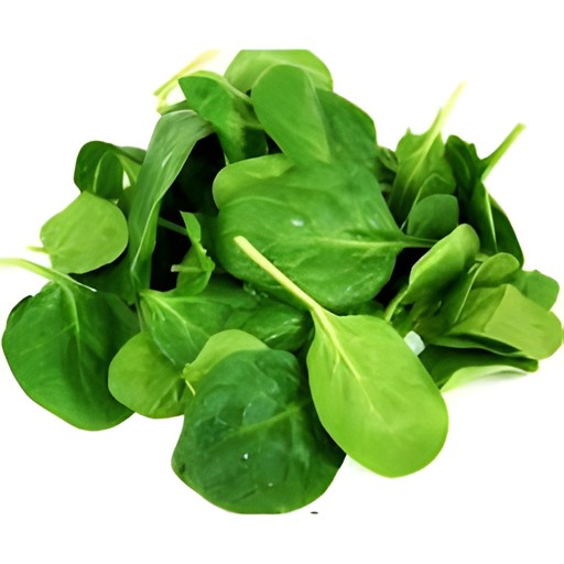 FRESH CELLO SPINACH BAG 10 OZ