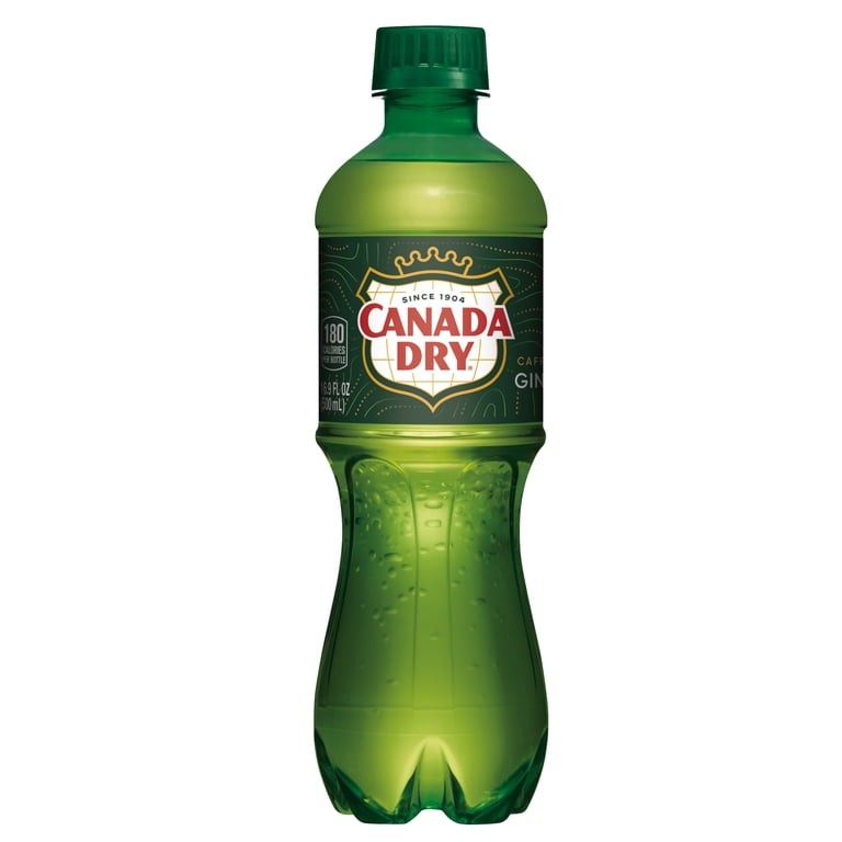 Ginger Ale Soda 16.9 OZ