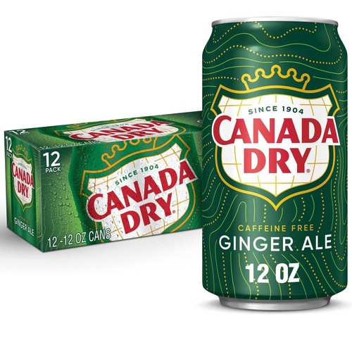 CAN DRY GINGER ALE 12 PACK