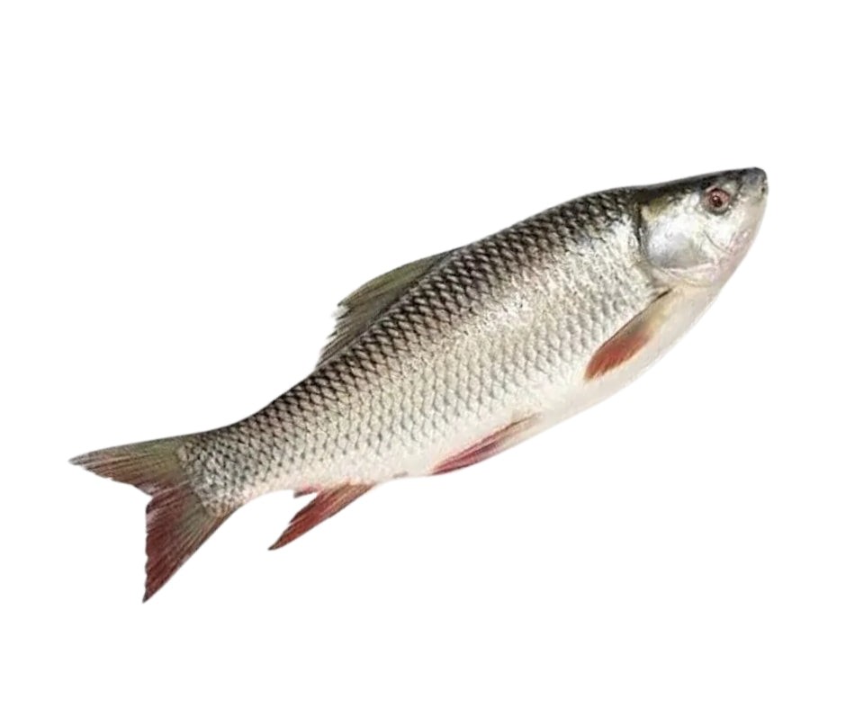 Whole Rohu Fish 3 KG