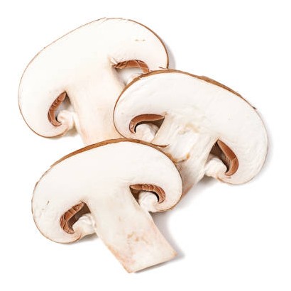 SLICED MUSHROOMS 8 OZ