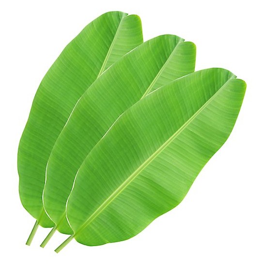 BANANA LEAVES 2PC 2 PCS