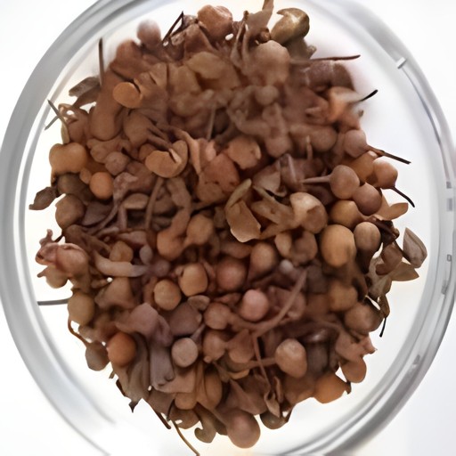 ZAARAH NAAGKESAR 3.5 OZ