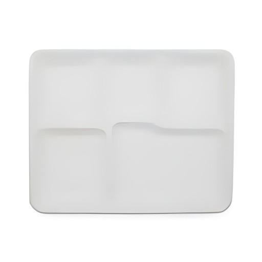 100 BIODEGRADABLE 5 COMPARTMENT 1 Each
