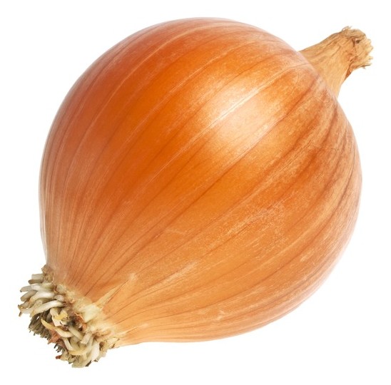 Spanish Onion 50 LBS