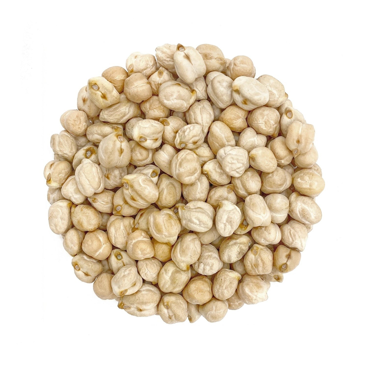 Shan White Kabuli Chana 4 LBS