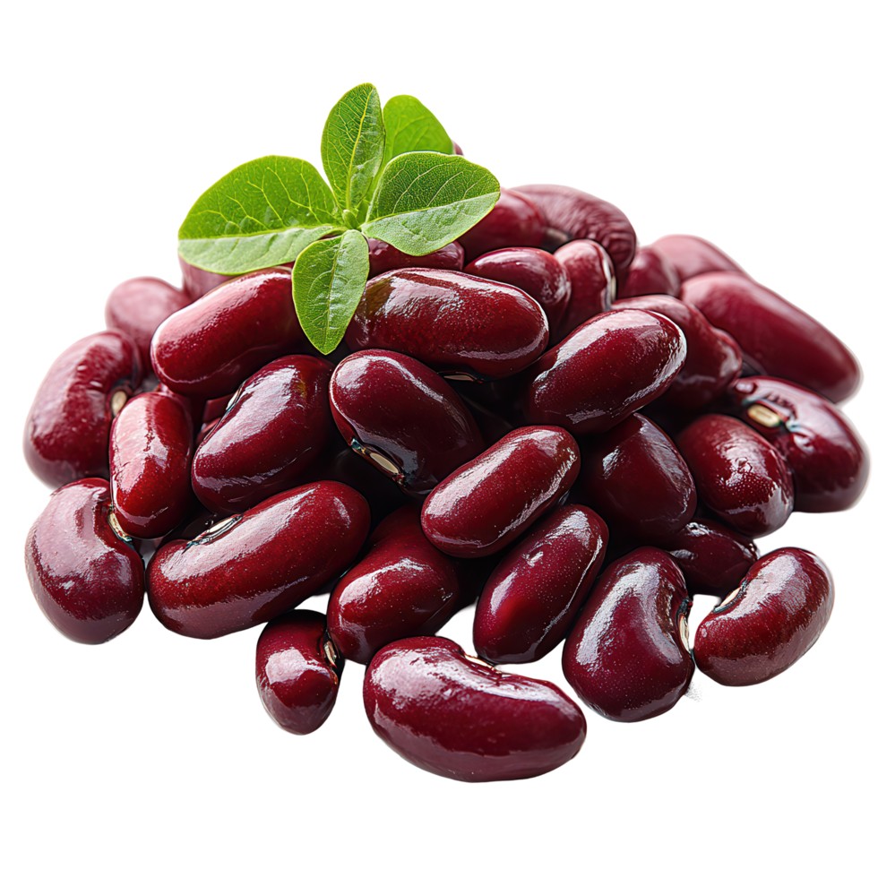 Shan Red Kidney Beans 4 LBS