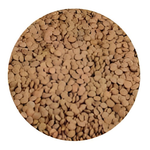 Shan Brown Lentils 2 LBS