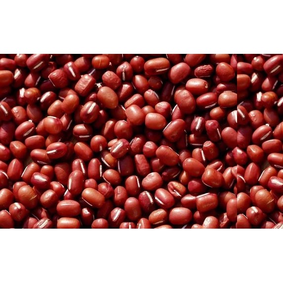 SHAN RED CHORI 4 LBS