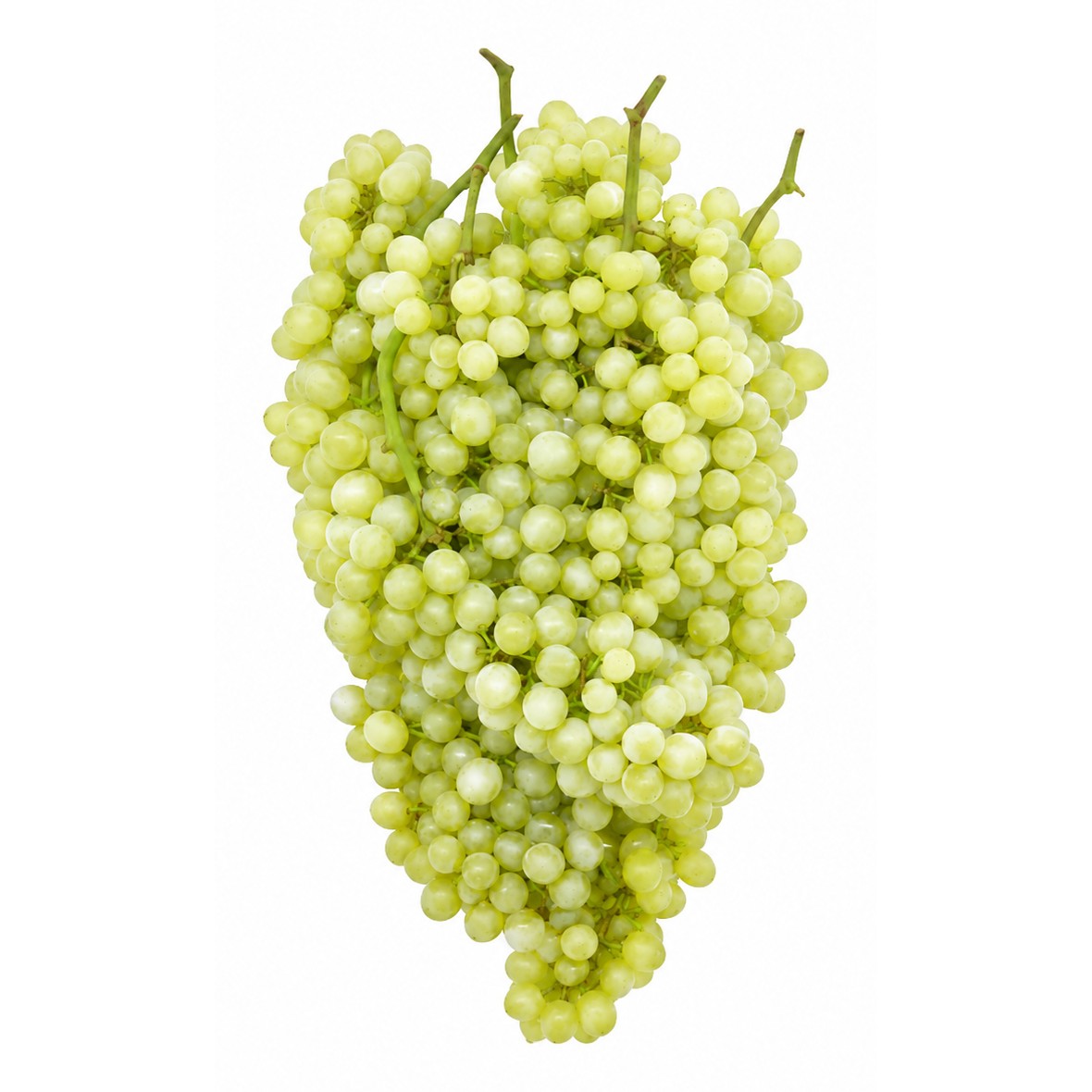 Baby Grapes 1 LBS