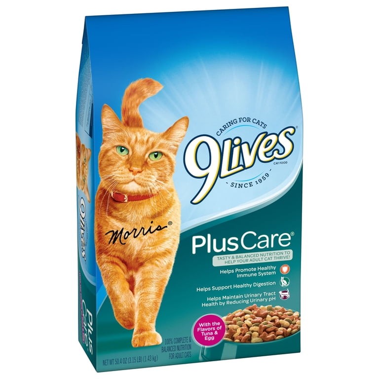 9Lives Plus Care Grilled Tuna & Egg Dry Cat Food 3.15 LBS