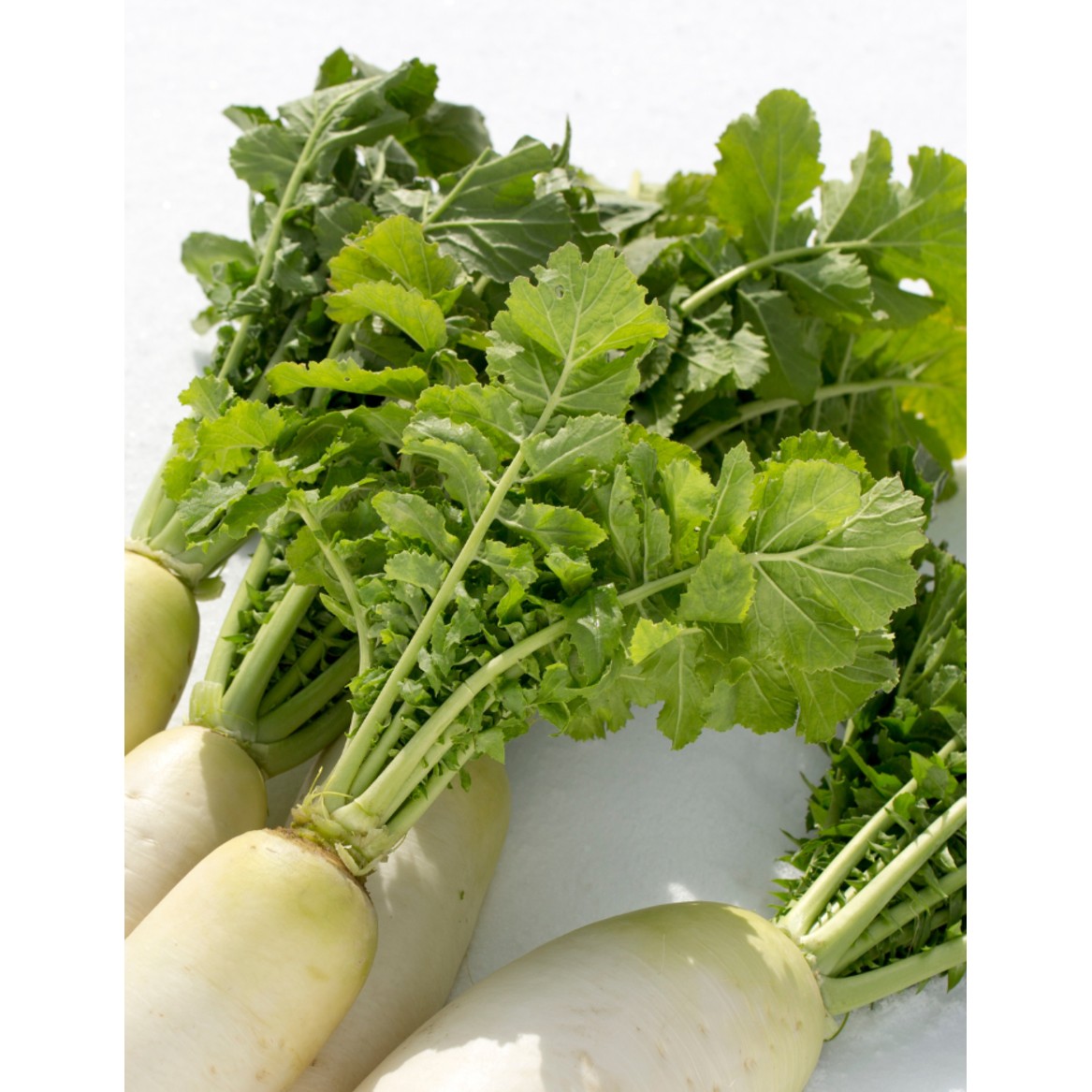 Mooli Leaves 1 LBS