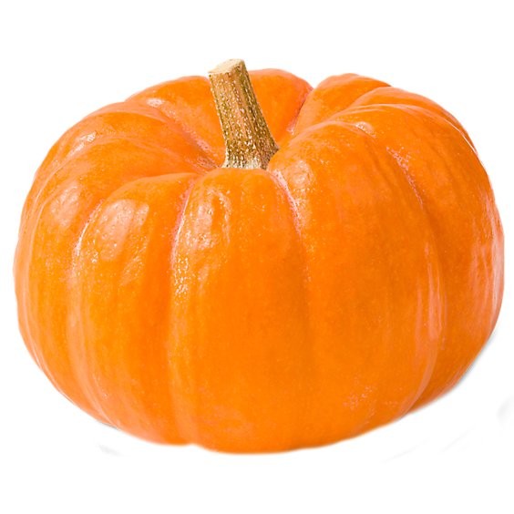 Small Pumpkin 1 LBS