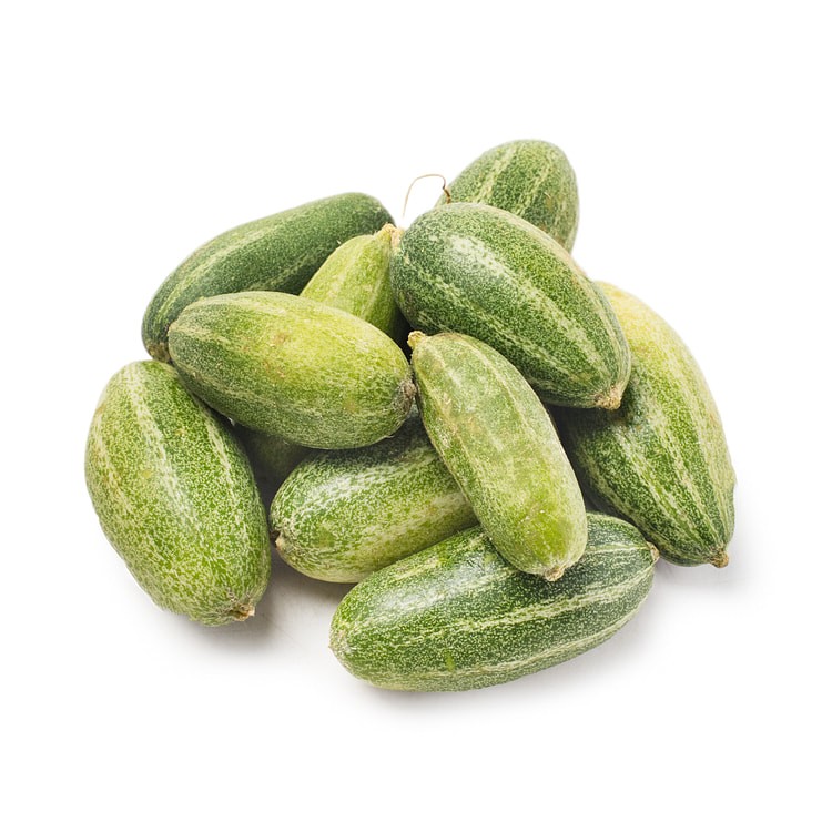 Perval 1 LBS