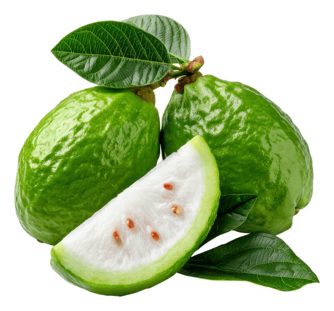 Guava Green 1 LBS