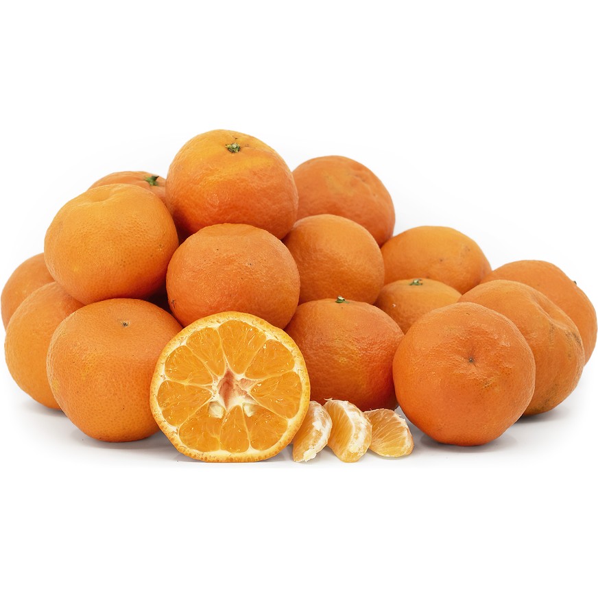 Satsuma Tangerine 1 LB