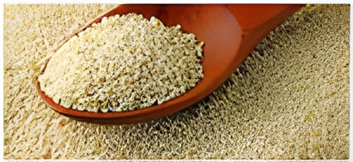 Shudh Poppy Seed 400 GM