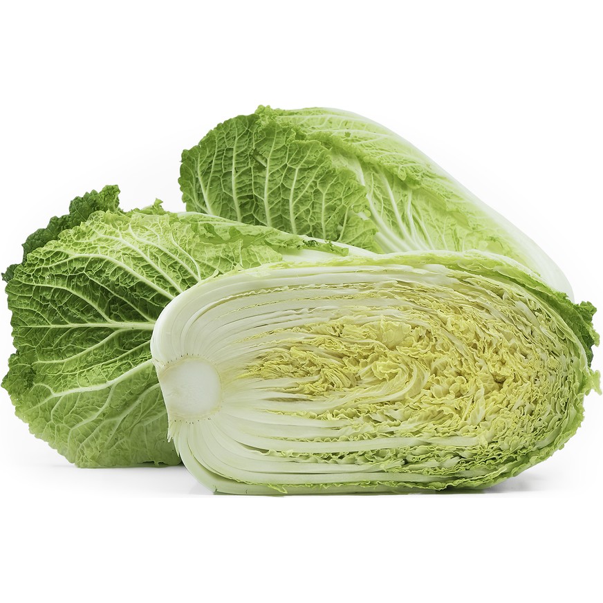 Napa Cabbage 1 LB