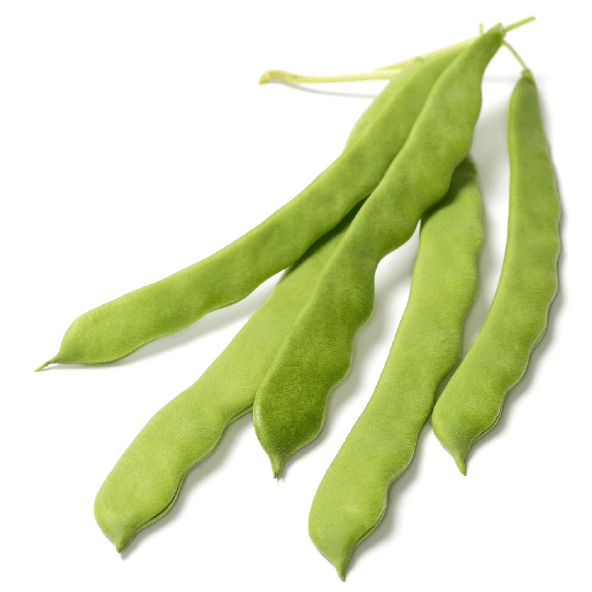 Romano Beans 1 LBS
